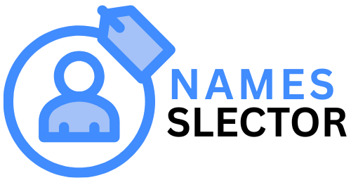 namesslector.com