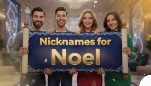 Nicknames for Noel